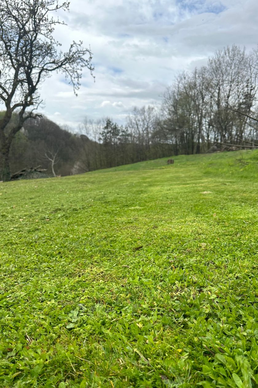 imv vazdar projekt vp košnja travnjaka i livada